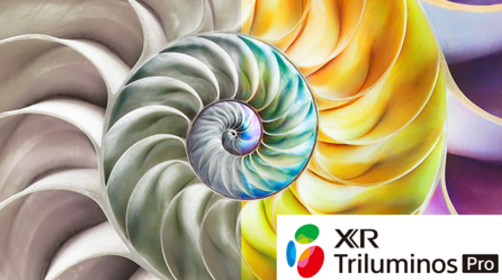 Google Tivi MiniLED Sony 4K 65 inch XR-65X95L