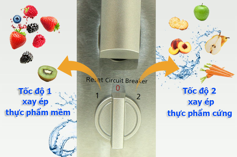 Máy xay ép đa năng Panasonic MJ-DJ31SRA