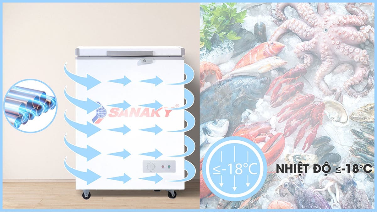 Tủ Đông Sanaky 100 Lít Sanaky VH1599HY