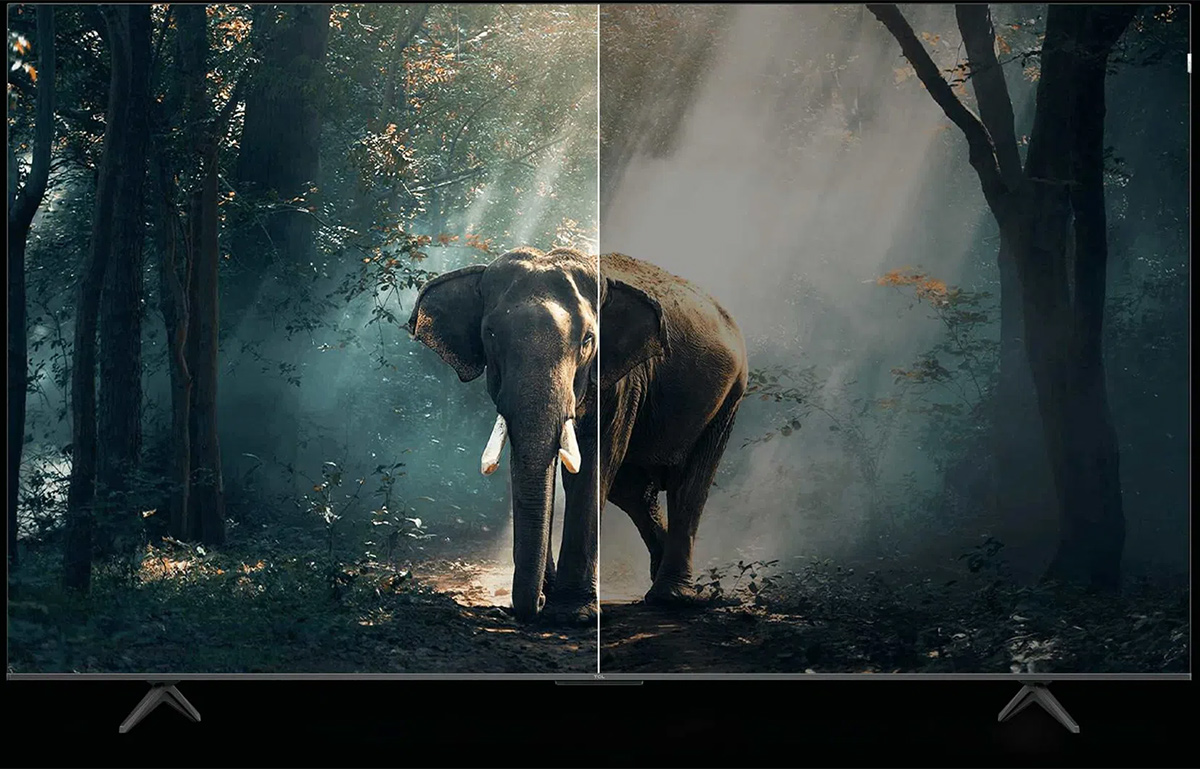 Google Tivi TCL QLED 4K 65 Inch 65C655