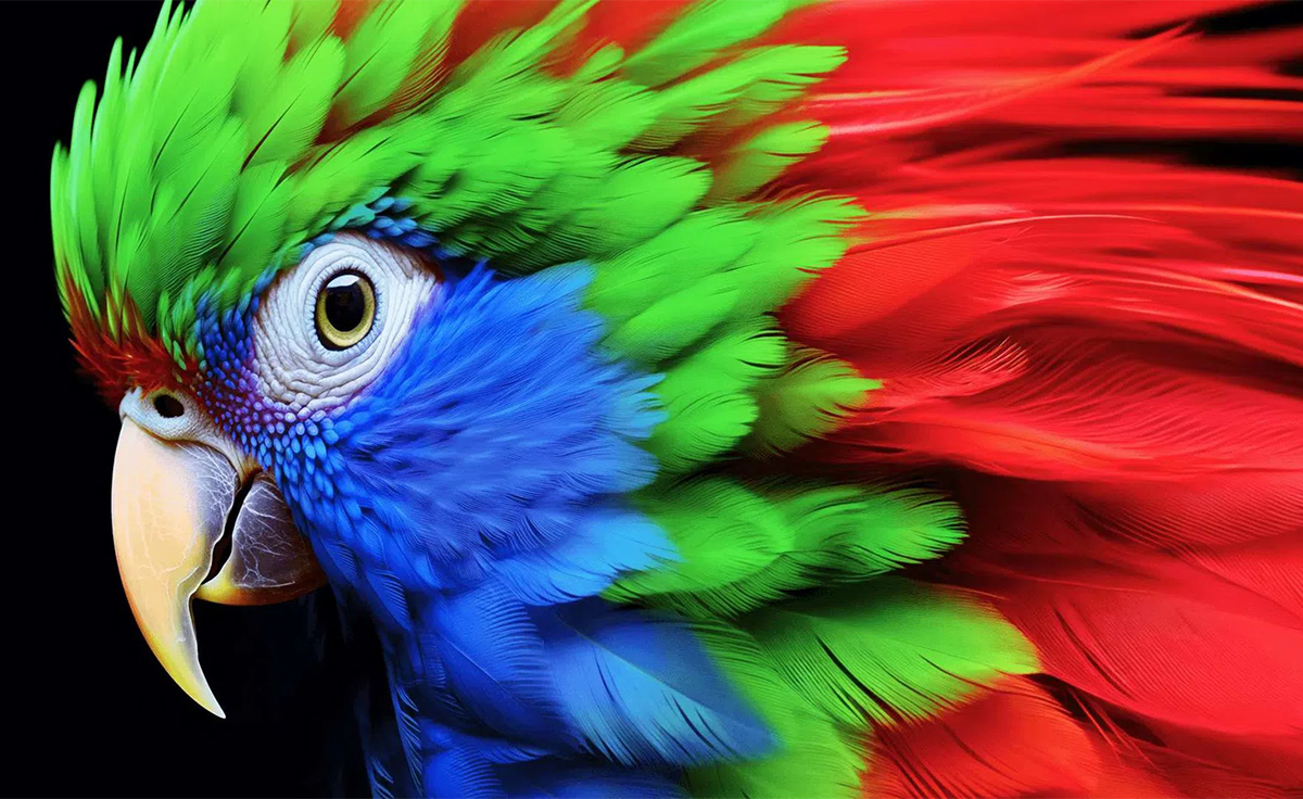 Google Tivi TCL QLED 4K 65 Inch 65C655