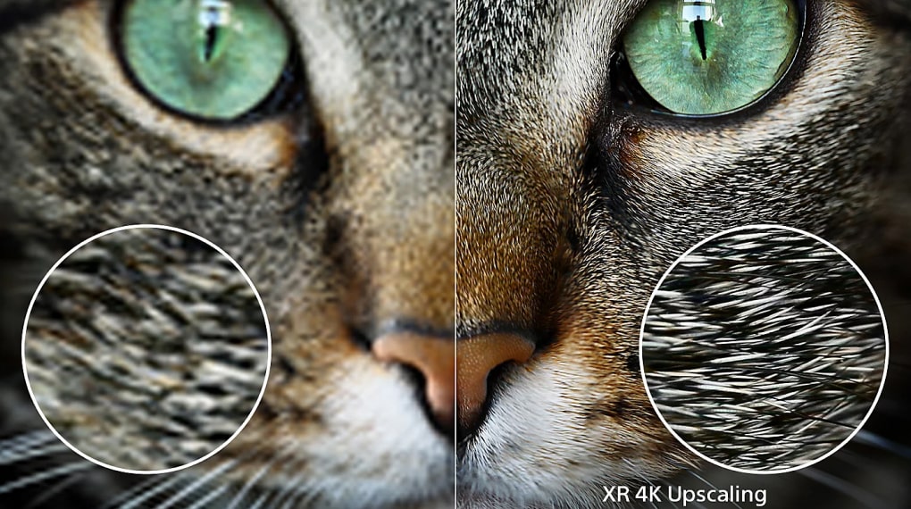 Google Tivi Sony 4K 65 inch XR-65X90L