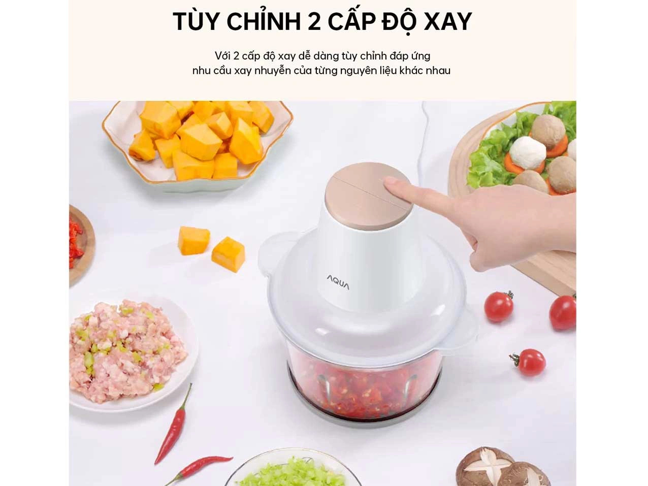 Máy xay thịt Aqua AQS-GGS201R-(W)-VN