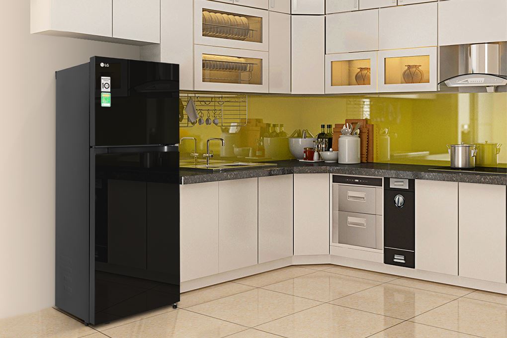 Tủ lạnh LG Inverter 217 lít T21BG