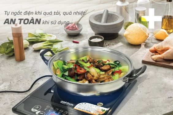 Bếp Từ Goldsun GIC3211-M