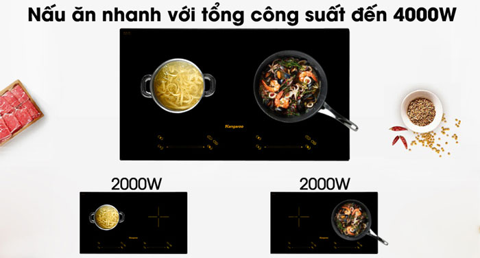 Bếp từ đôi Thái Lan Kangaroo KG866i