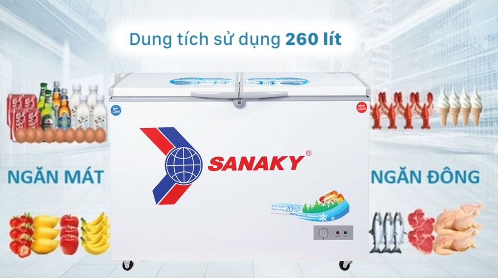 Tủ đông Sanaky 260 lít VH3699W1