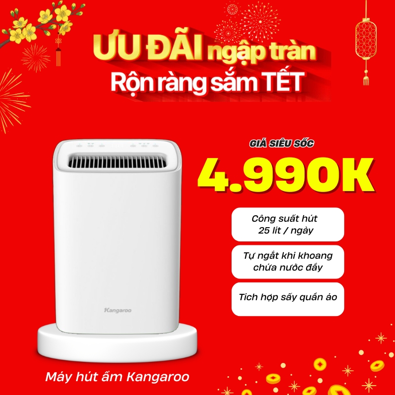 Máy hút ẩm Kangaroo KGDH25