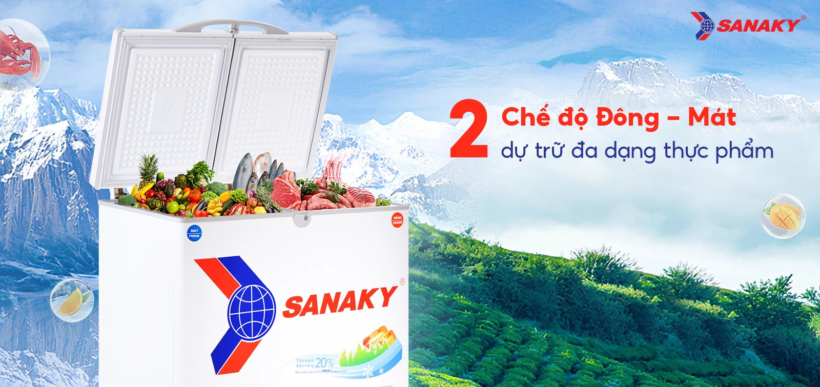 Tủ Đông Sanaky VH2599W1