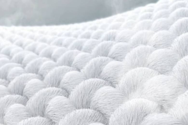 Máy giặt LG Biến tần 10 kg FX1410N5W.AGWPEVN