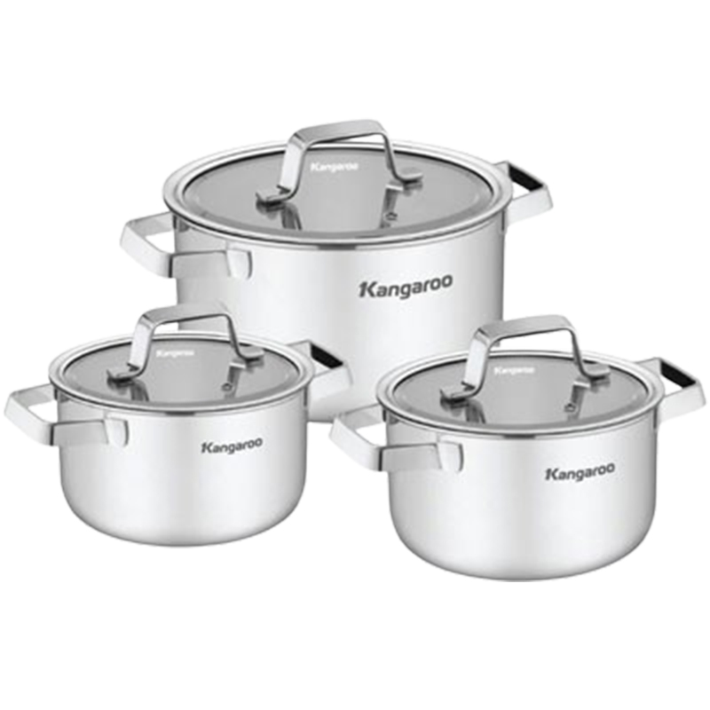 Bộ nồi Kangaroo KG304IP1