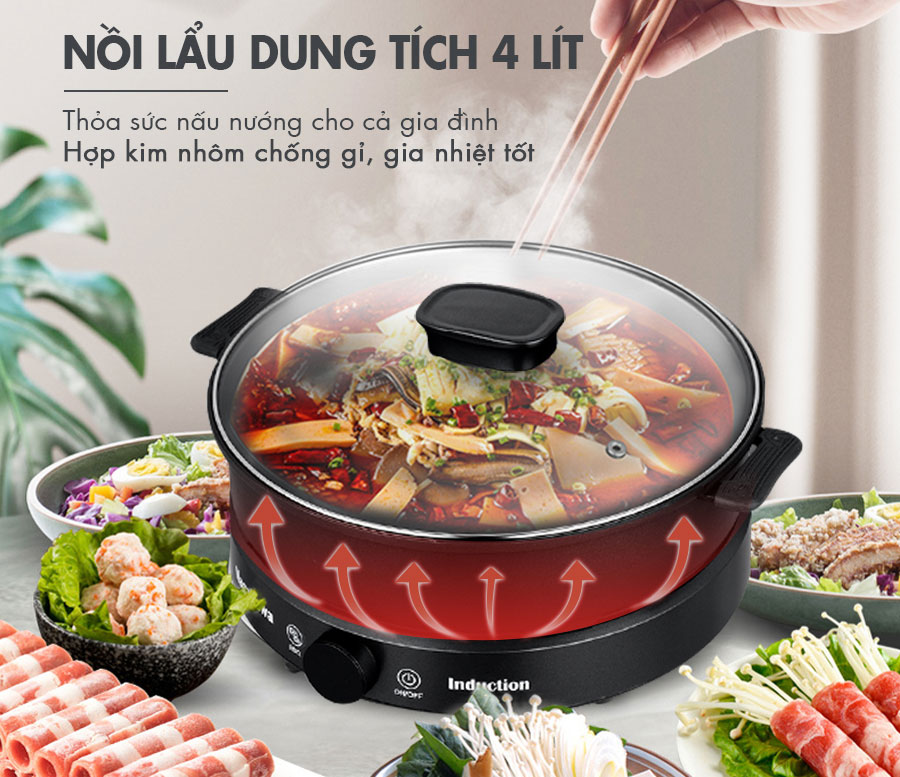 Bếp điện từ đa năng Nagakawa NAG0716