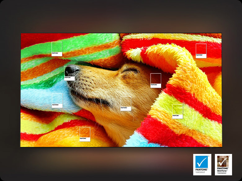 Smart Tivi Samsung Micro RGB 4K 65 Inch MRA65R85HAKXXV