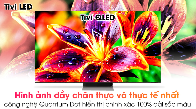 Smart Tivi Neo QLED 8K 65 inch Samsung QA65QN900AKXXV
