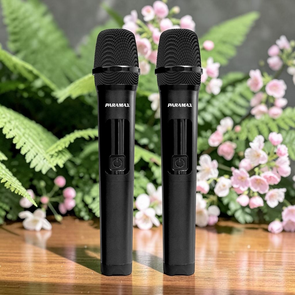 Loa Di Động Paramax PARTYMORE850