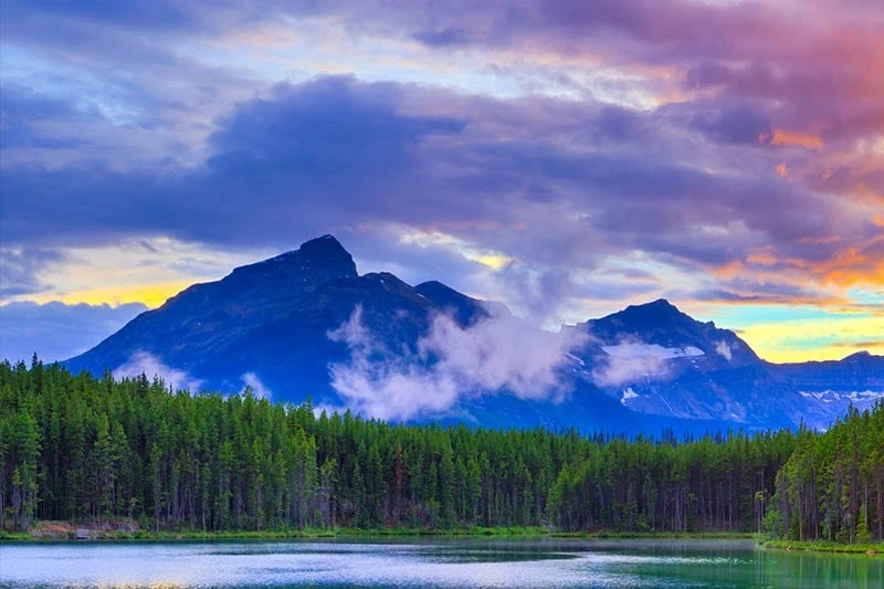 Smart Tivi LG 43 inch 43LM5750PTC