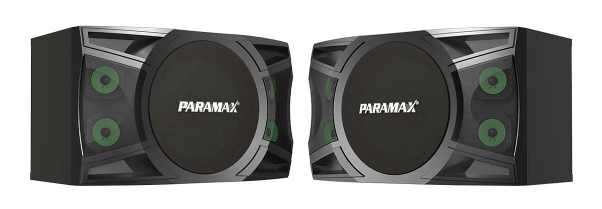 Loa Paramax P1000