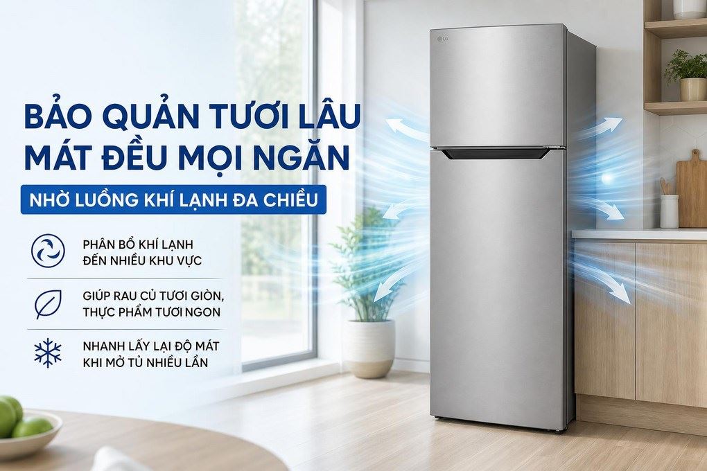 Tủ lạnh LG Inverter 292 lít T30SV