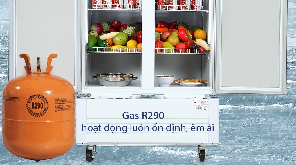 Tủ mát 2 cánh Sanaky 700 lít VH8009HP