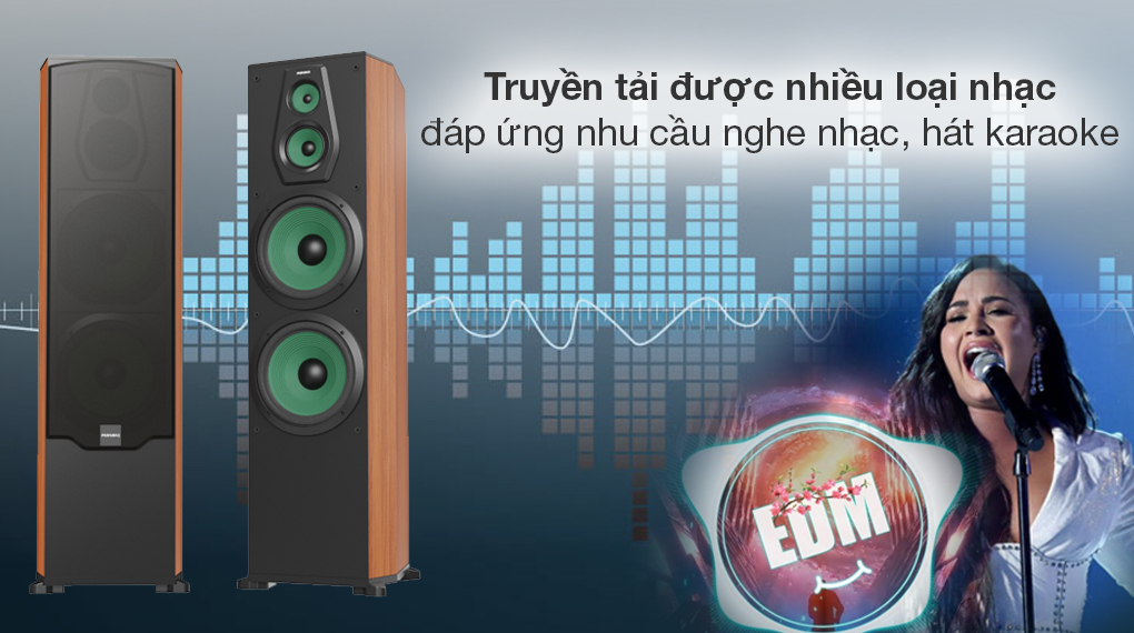 Cặp loa karaoke Paramax 360W LX-2800