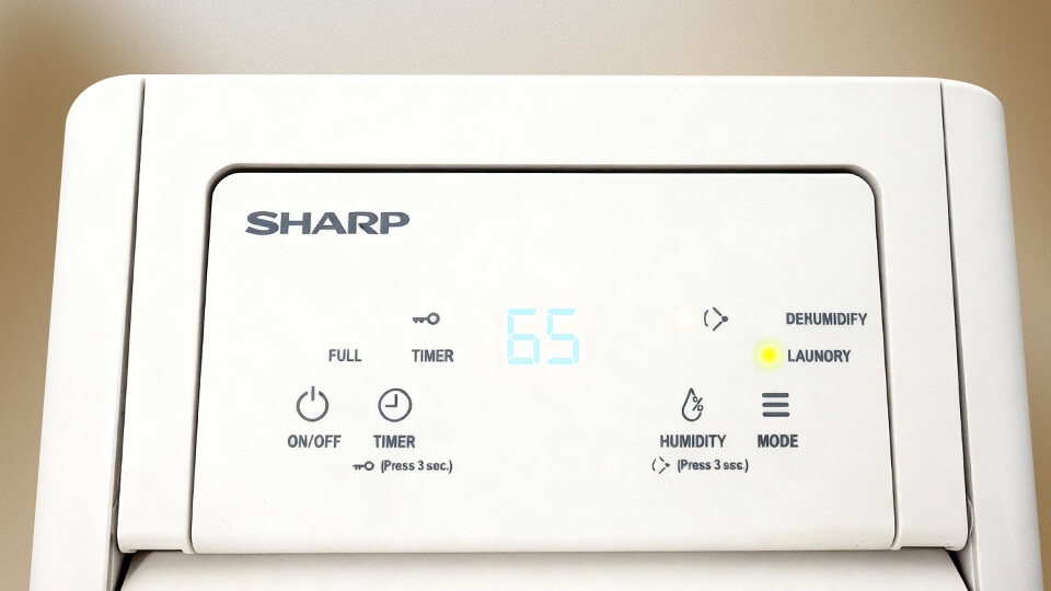 Máy hút ẩm và tạo ion Sharp DW-P12HV-W