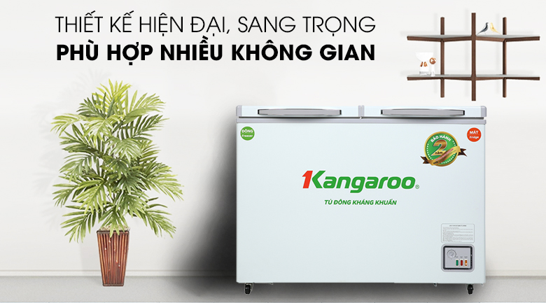 Tủ đông Kangaroo 192 lít KG266NC2