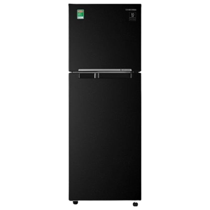 Tủ lạnh Samsung Inverter 236 lít RT22M4032BU/SV