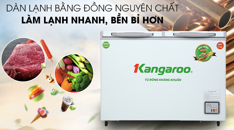 Tủ đông Kangaroo 192 lít KG266NC2