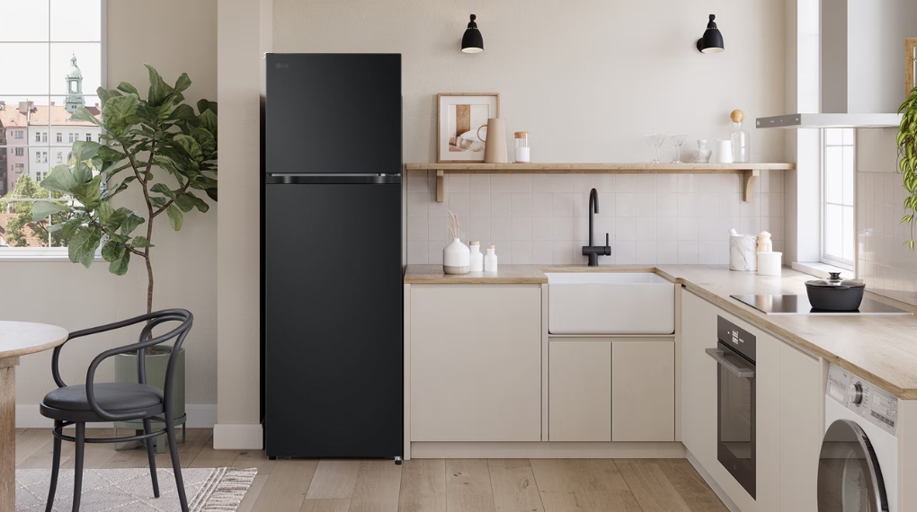 Tủ lạnh LG Inverter 266 lít LTB26BLM.AEPPEVN