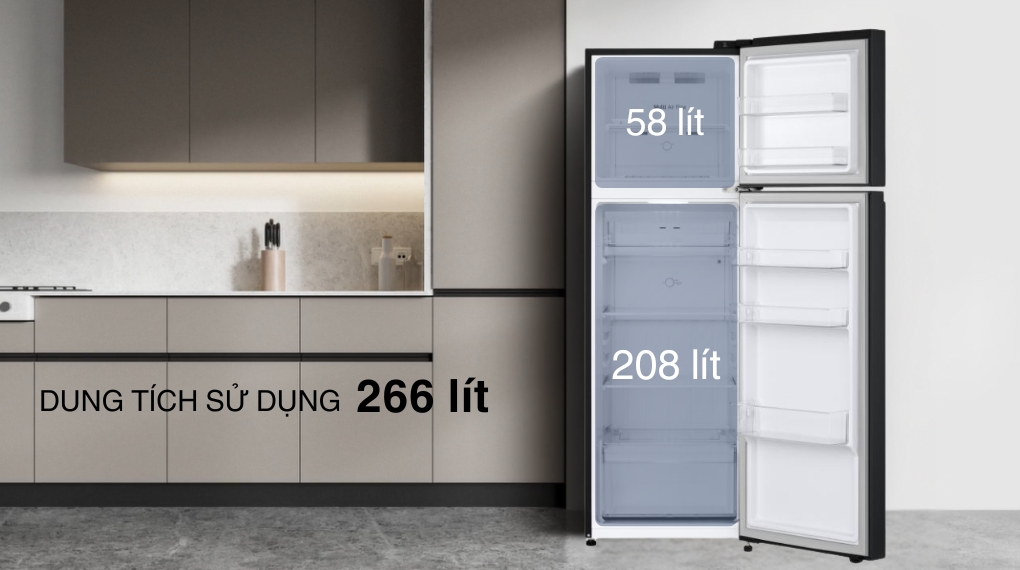 Tủ lạnh LG Inverter 266 lít LTB26BLM.AEPPEVN