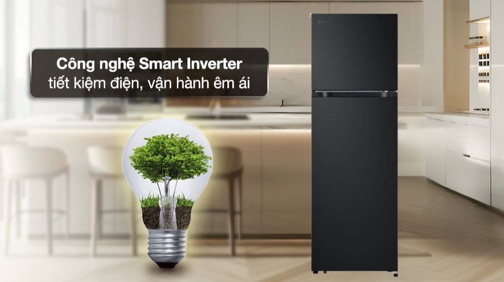 Tủ lạnh LG Inverter 266 lít LTB26BLM.AEPPEVN