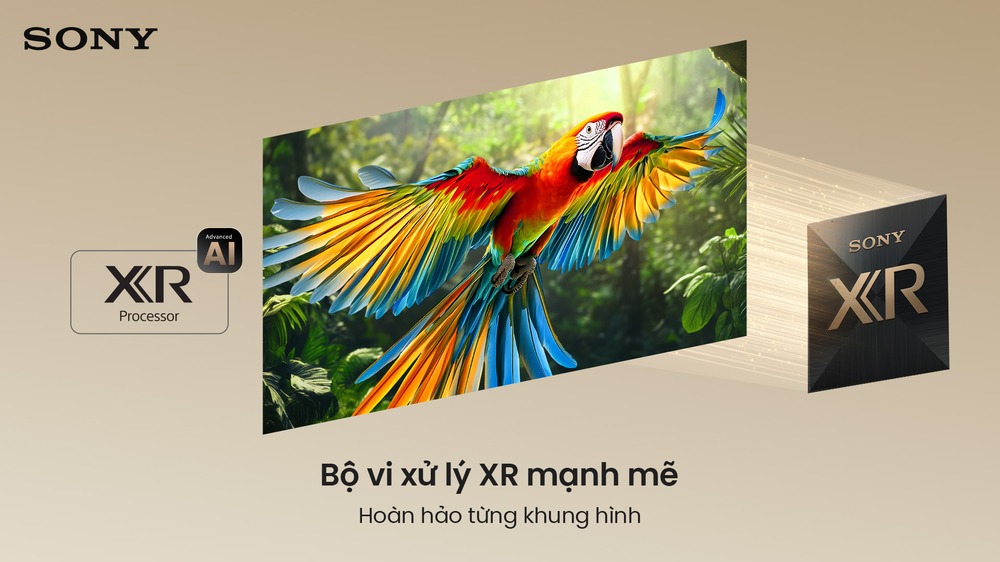 Google Tivi True RGB Sony AI 4K 65 inch K-65XR70M2