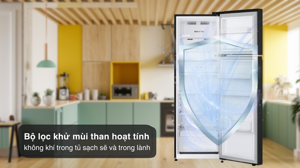 Tủ lạnh LG Inverter 266 lít LTB26BLM.AEPPEVN