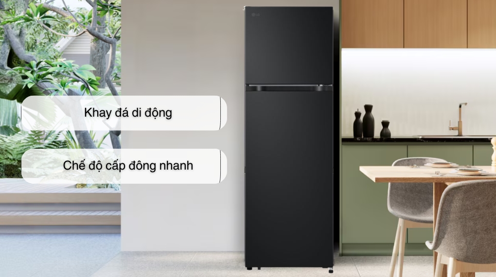 Tủ lạnh LG Inverter 266 lít LTB26BLM.AEPPEVN
