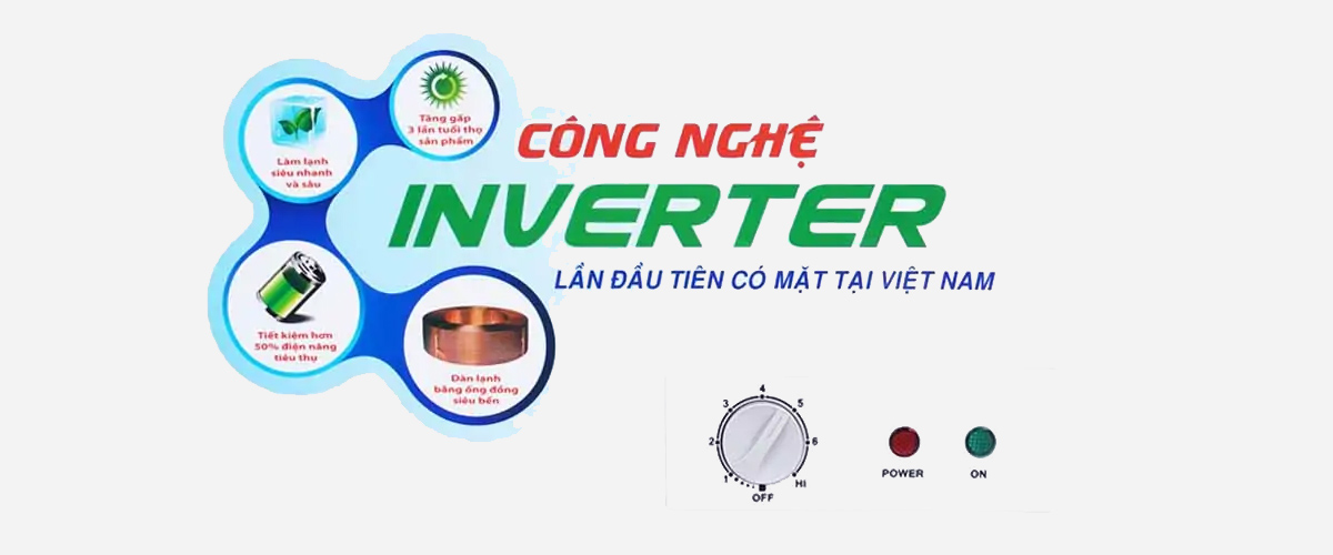 Tủ Đông Sanaky Inverter 260 Lít VH3699W3