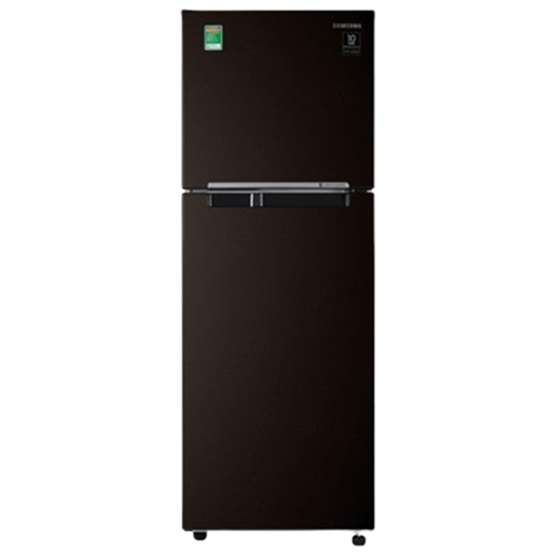 Tủ lạnh Samsung Inverter 236 lít RT22M4032BY/SV