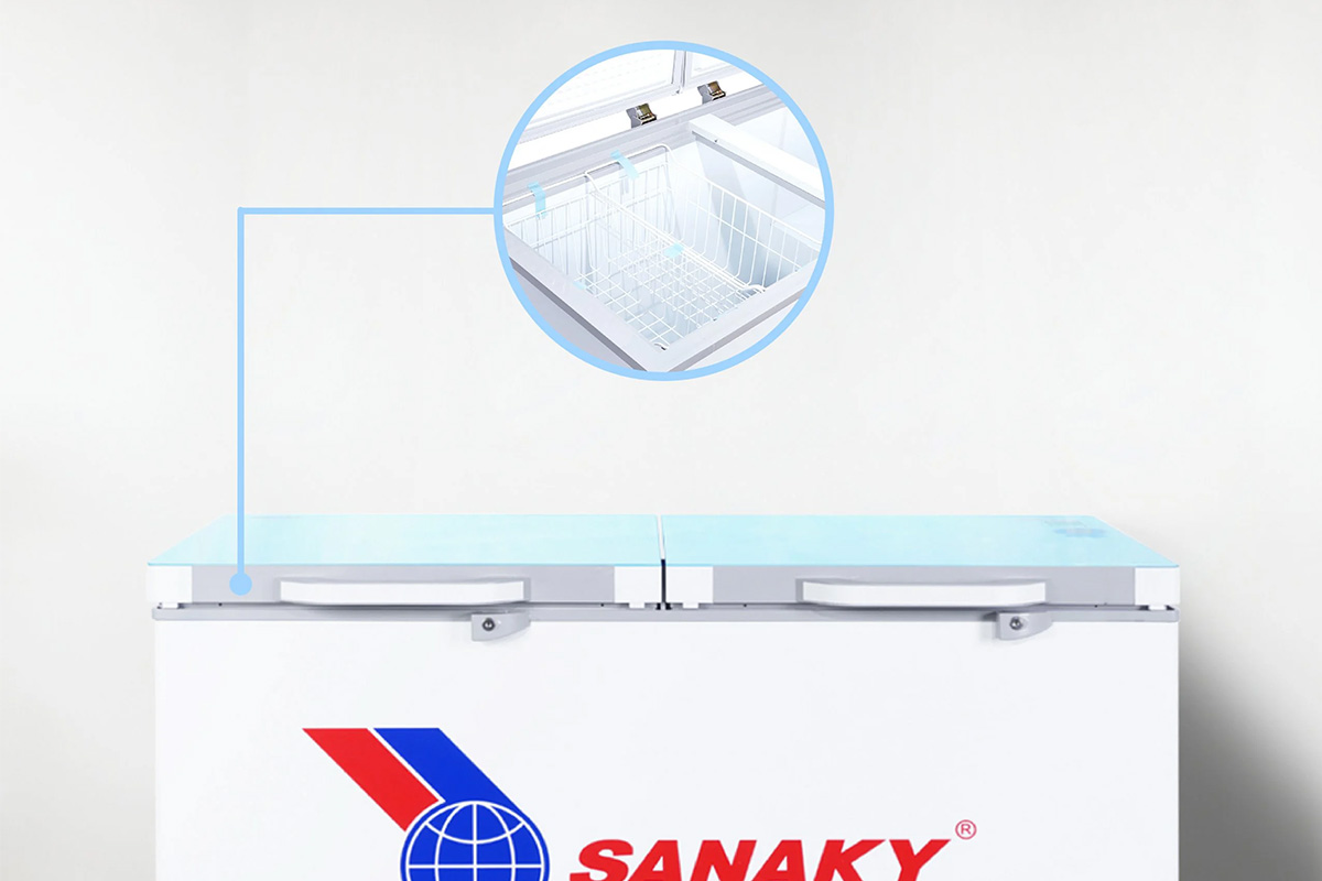Tủ đông Sanaky VH2899W2KD