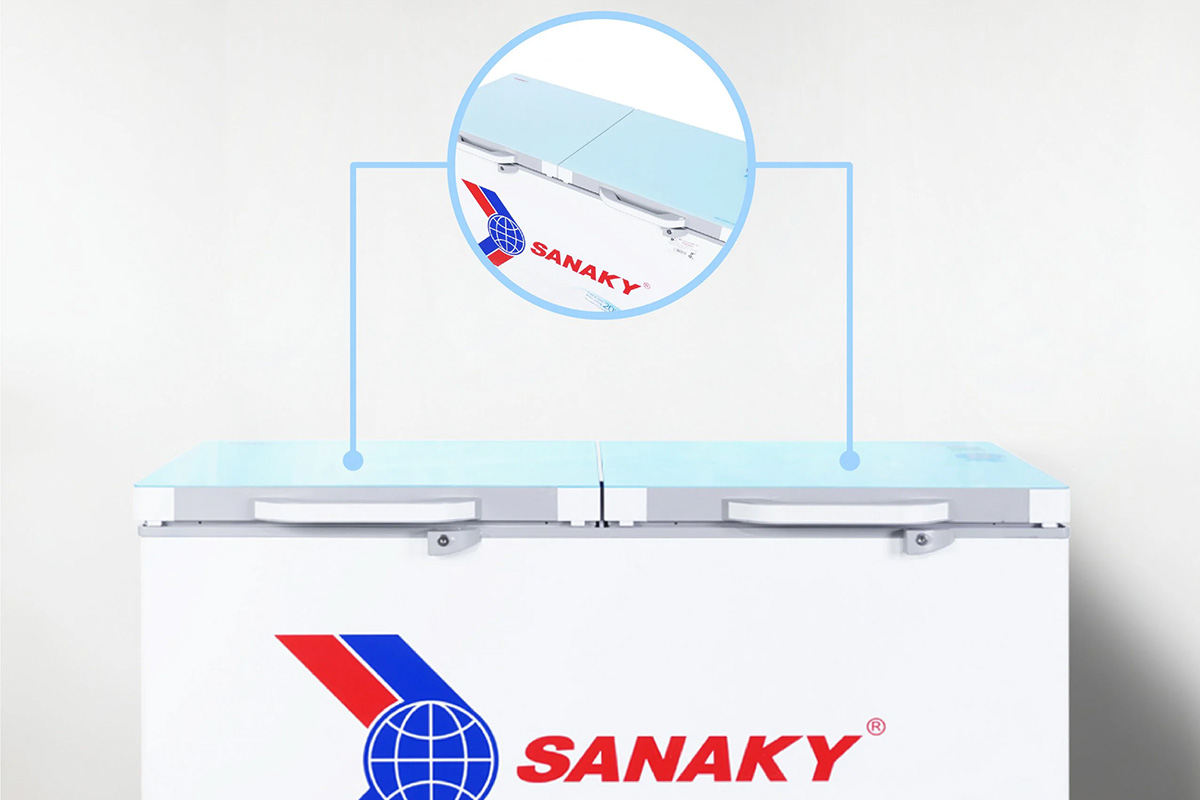 Tủ đông Sanaky VH2899W2KD