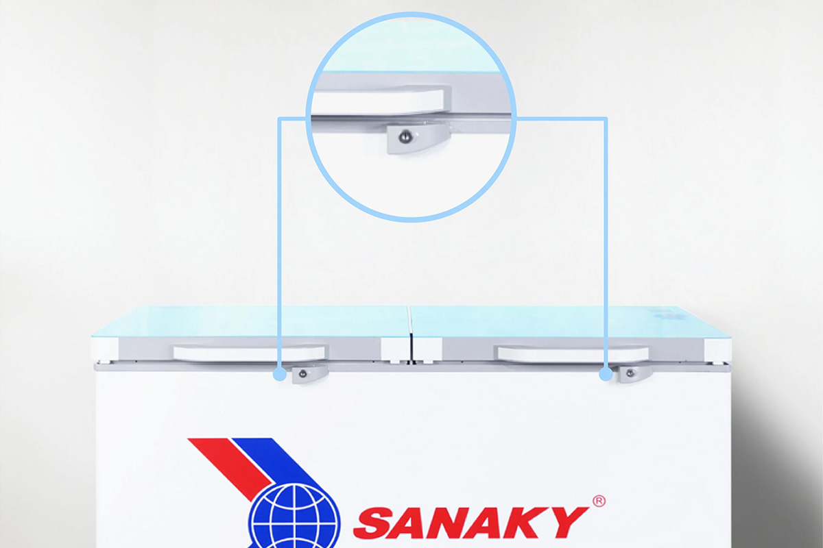 Tủ đông Sanaky VH2899W2KD