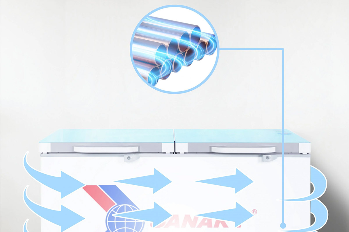 Tủ đông Sanaky VH2899W2KD