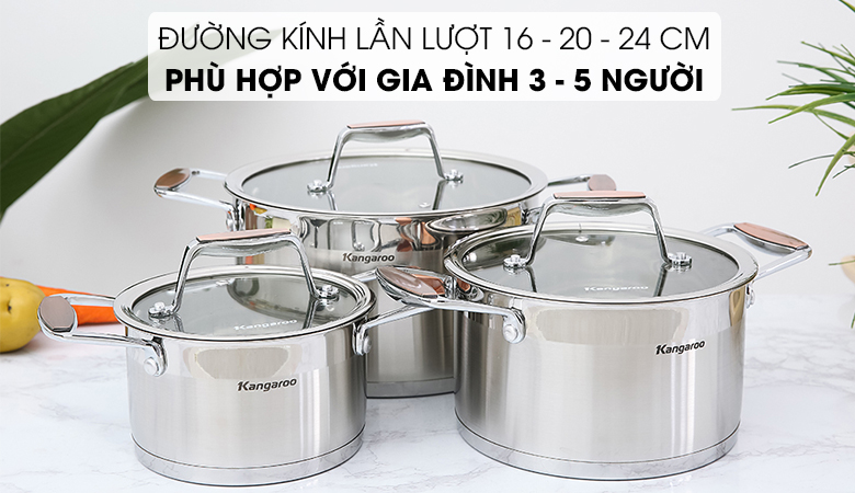 Bộ nồi Kangaroo KG3CS2