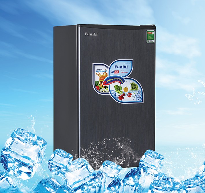 Tủ lạnh Funiki FR-91DSU