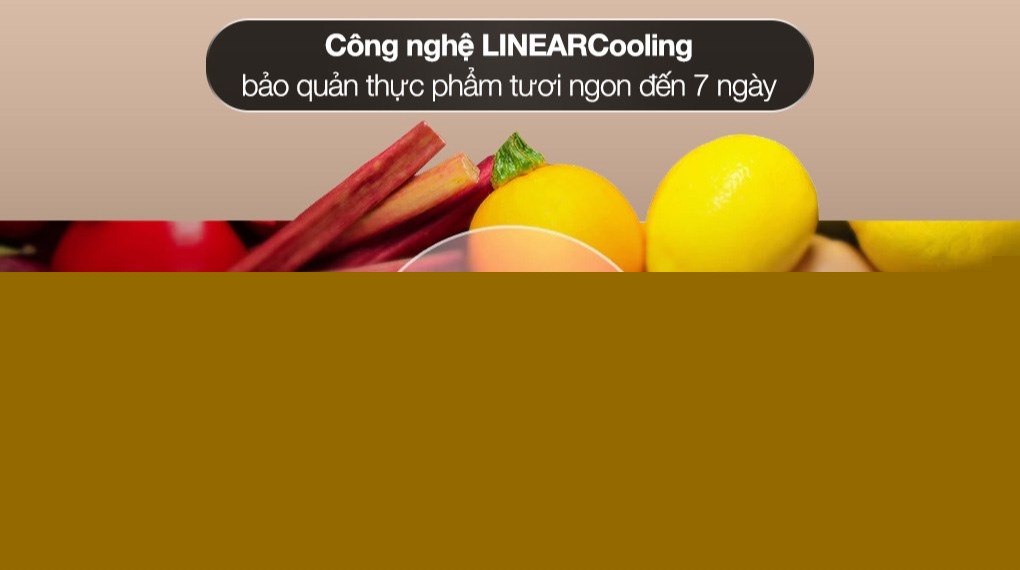 Tủ lạnh LG Inverter 571 lít Multi Door LFD58BLMA