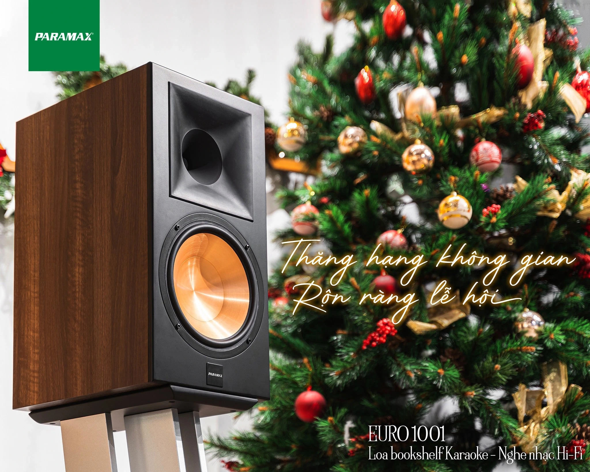 Loa Paramax Euro 1001