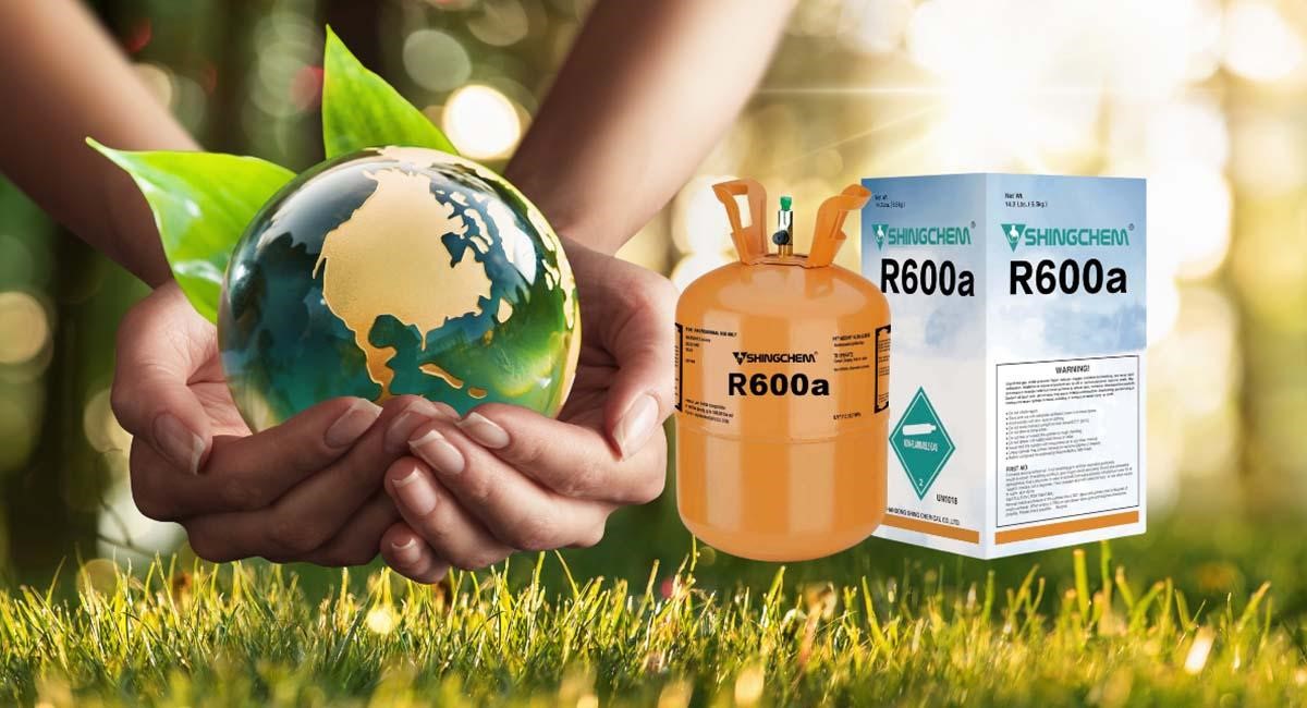 Tủ Mát Sanaky Inverter 240 Lít VH308K3L