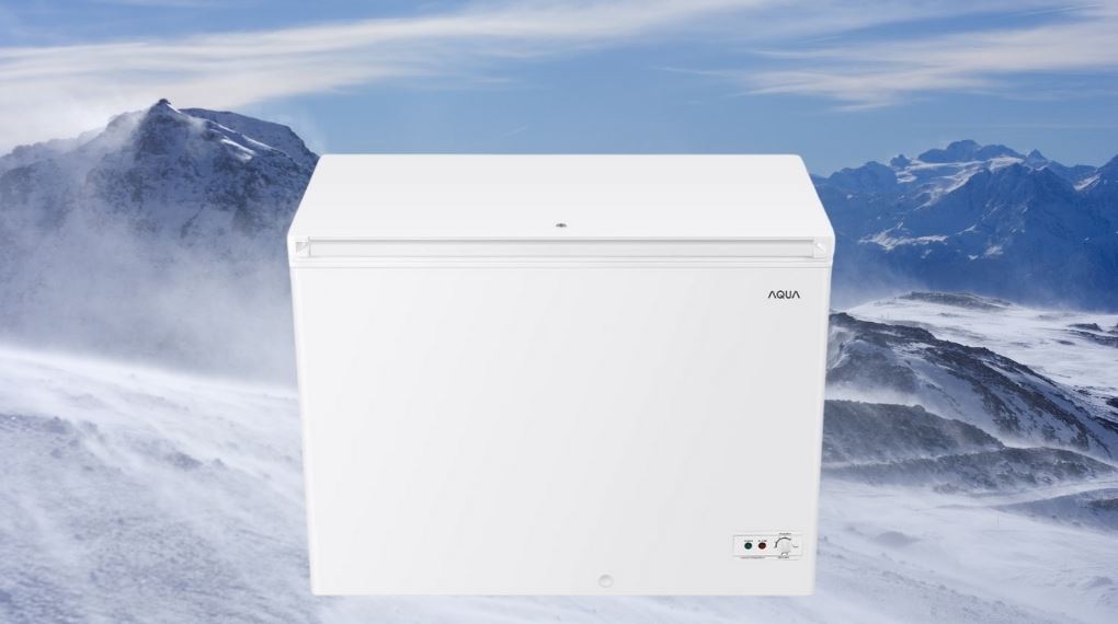 Tủ đông Aqua Inverter 301 lít AQF-C4001EN