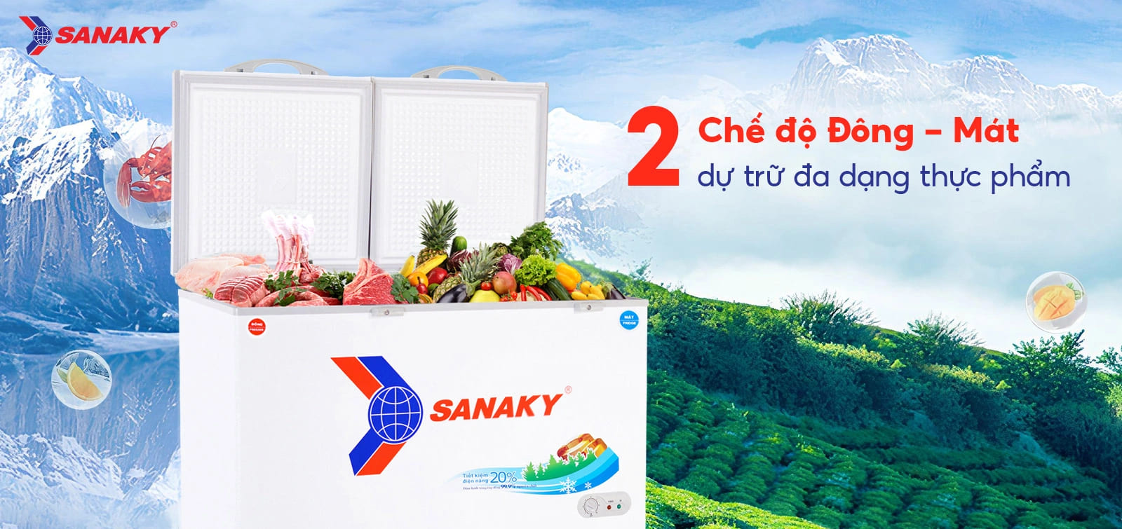 Tủ Đông Sanaky 365 Lít VH5699W1