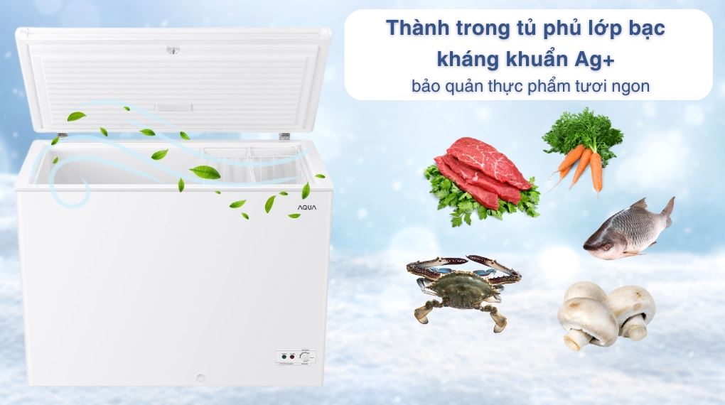 Tủ đông Aqua Inverter 301 lít AQF-C4001EN