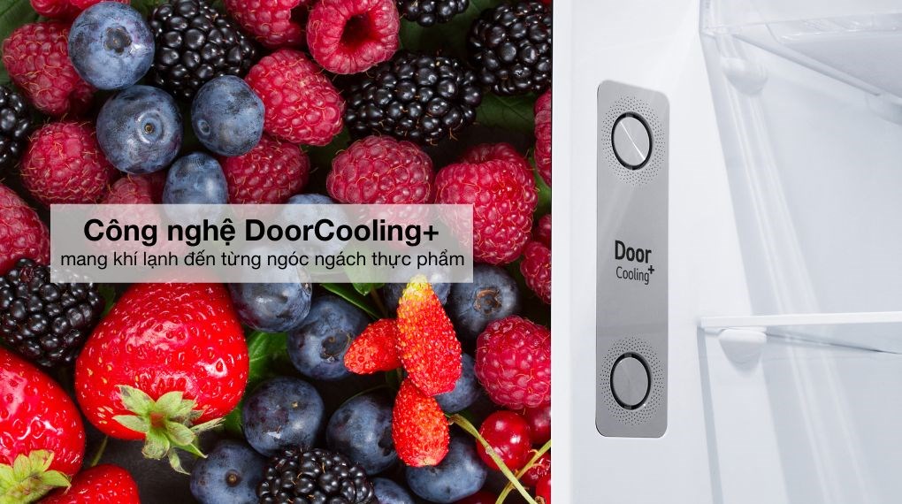 Tủ lạnh LG Inverter 314 lít LTD31BLM