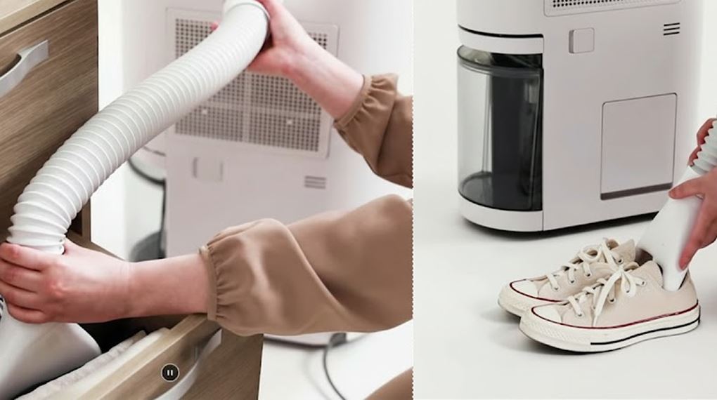 Máy hút ẩm LG Dual Inverter DD20GMWE1.ABAE